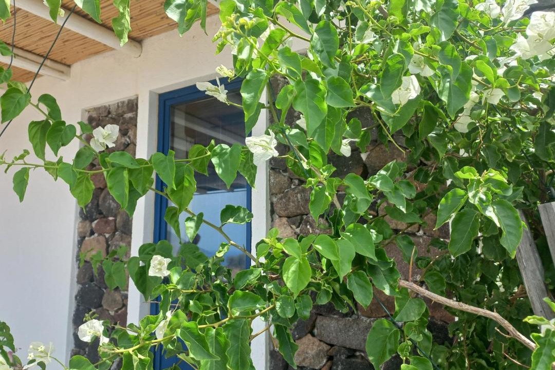 Photo of Others in Lipari