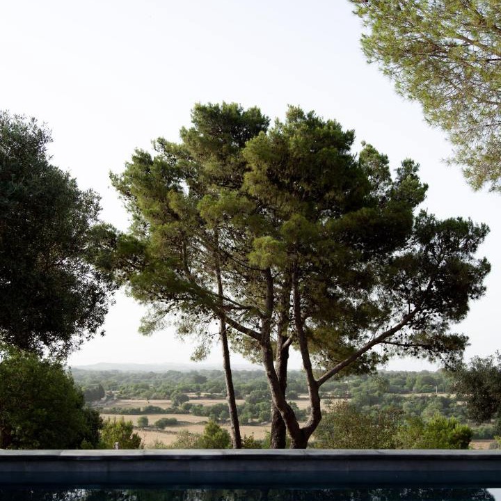 Photo of Others in Palazzolo Acreide