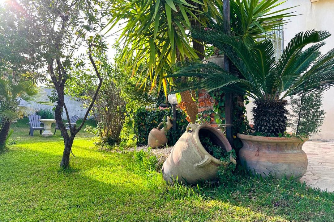Photo of Others in Blandano