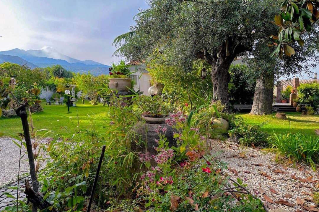Photo of Others in Blandano