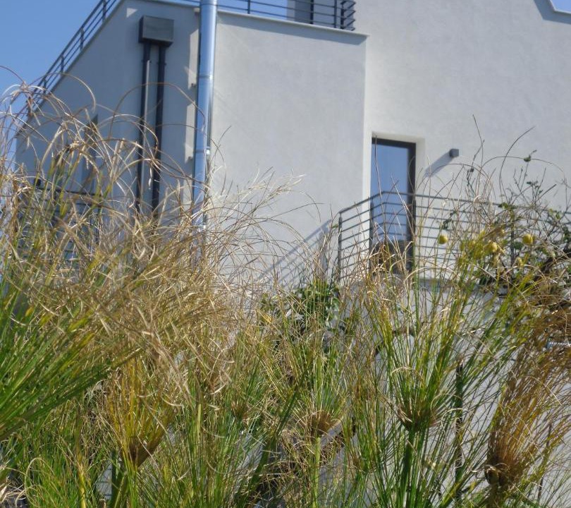Photo of Buildings in San Nicola l'Arena