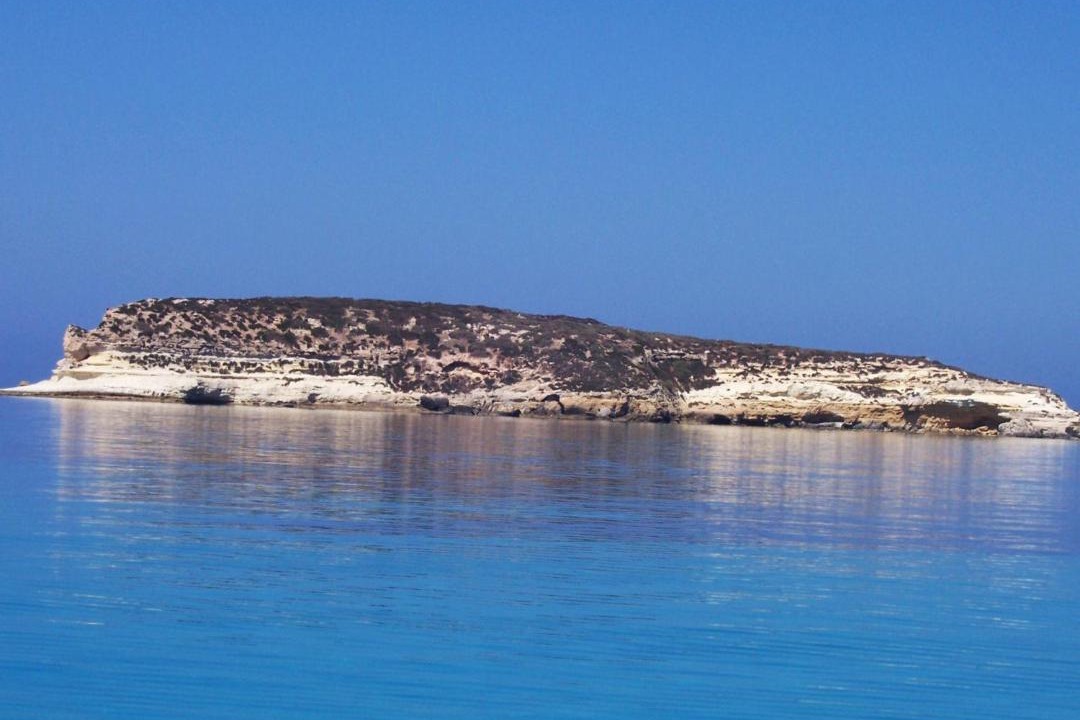 Photo of Others in Lampedusa