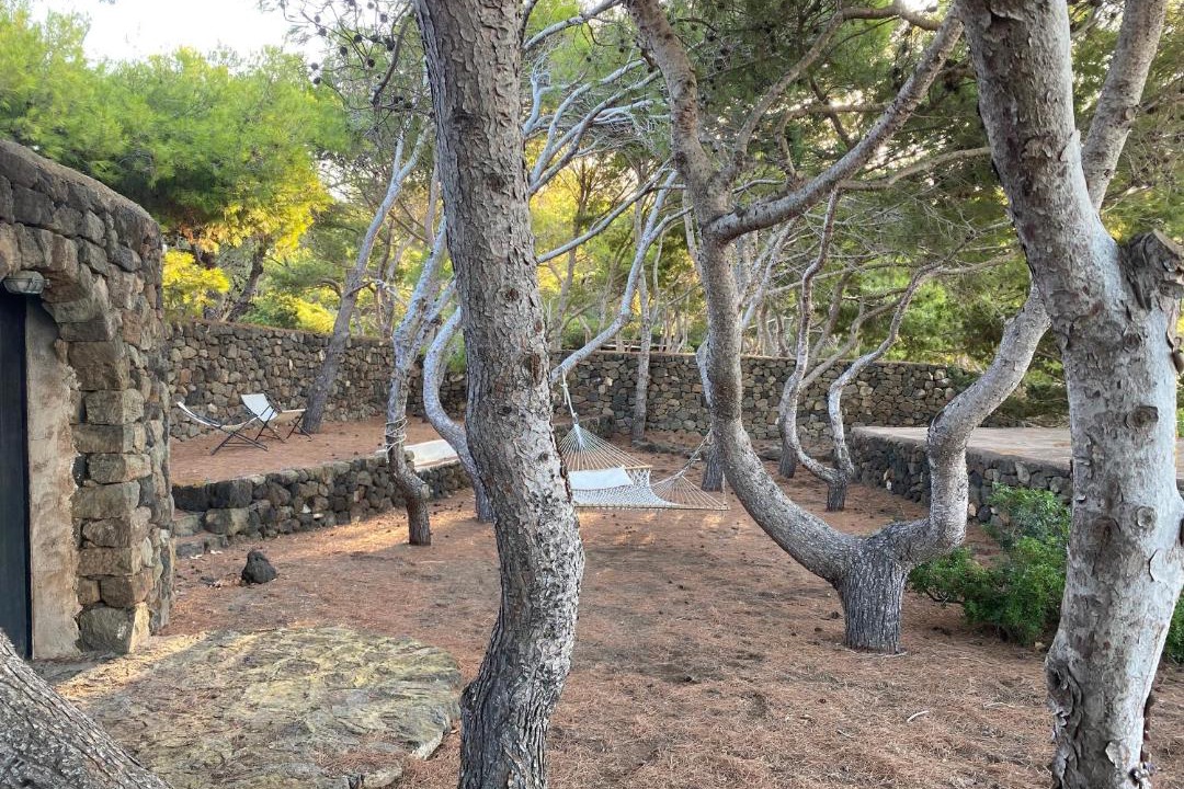 Photo of Others in Pantelleria