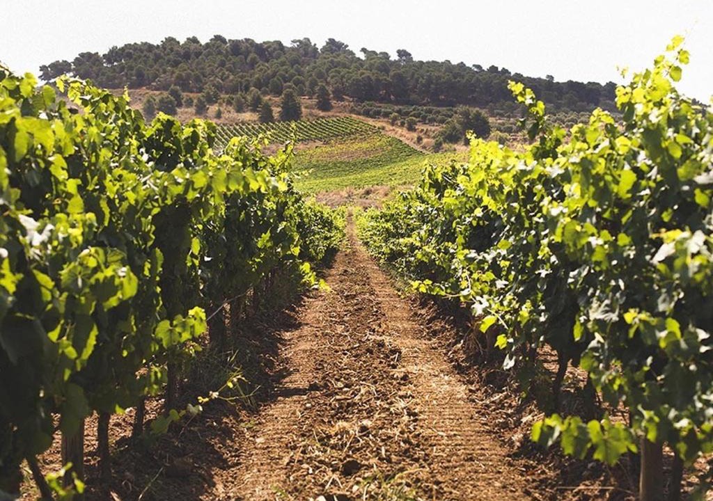 Photo of Outdoor in Siculiana