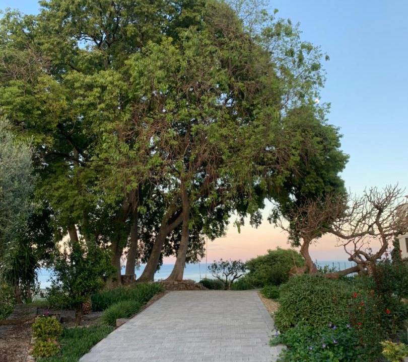 Photo of Outdoor in Aci San Filippo