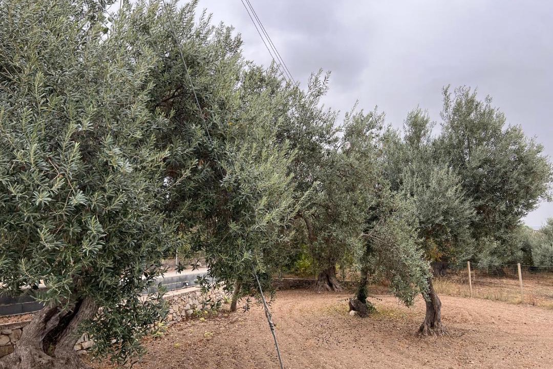 Photo of Others in Chiaramonte Gulfi