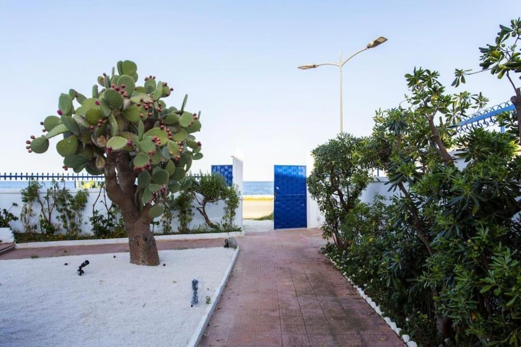 Photo of Others in Isola delle Femmine