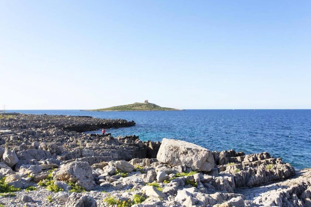Photo of Outdoor in Isola delle Femmine