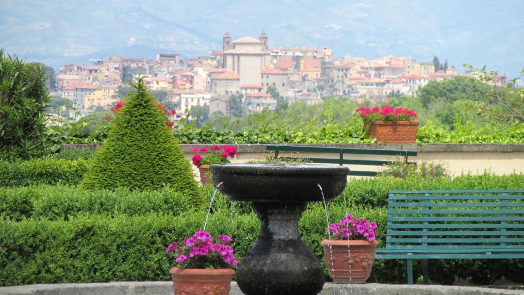 Photo of Others in Frascati