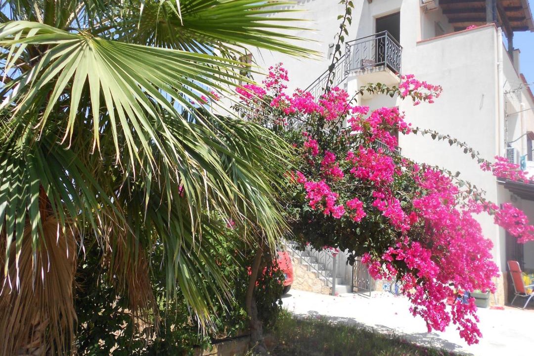 Photo of Others in Alcamo