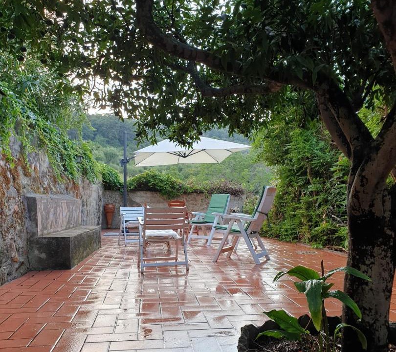Photo of Others in Tortorici