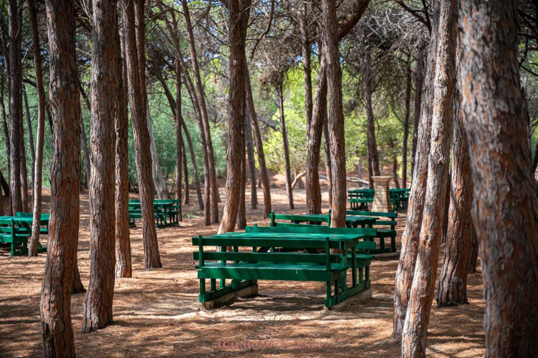 Photo of Outdoor in Punta Braccetto