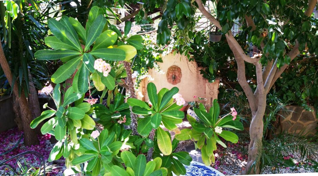 Photo of Others in Capo d'Orlando