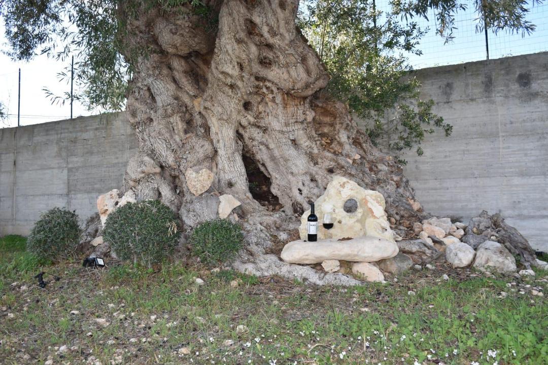 Photo of Others in Avola