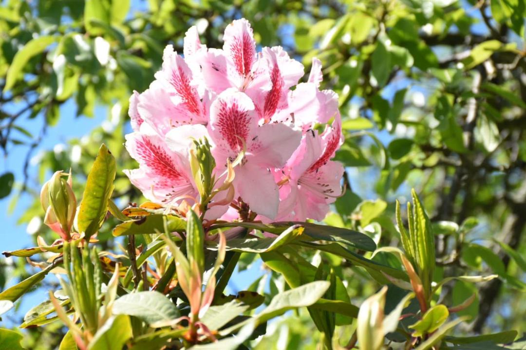 Photo of Outdoor in Avola