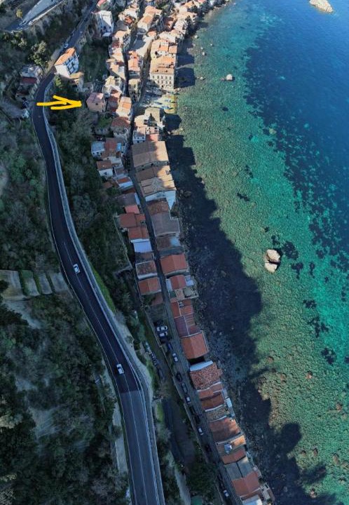 Photo of Others in Scilla