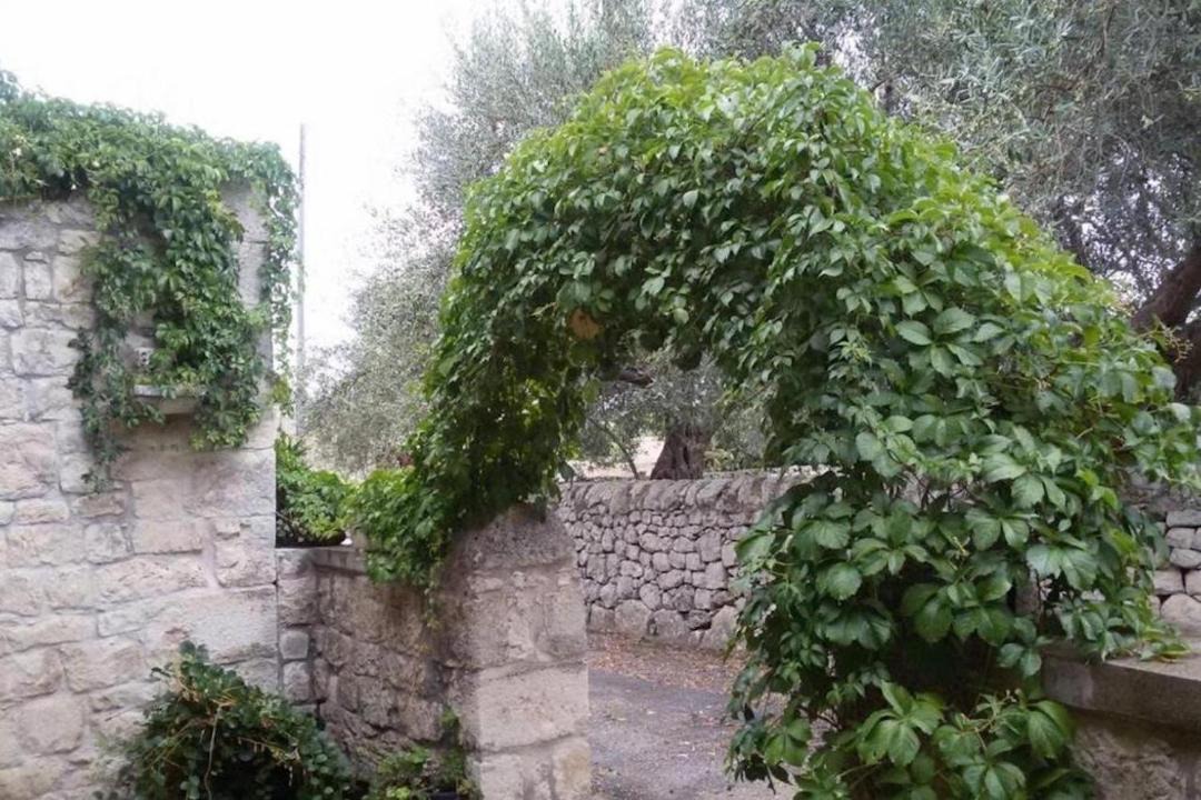 Photo of Others in Casa Papa