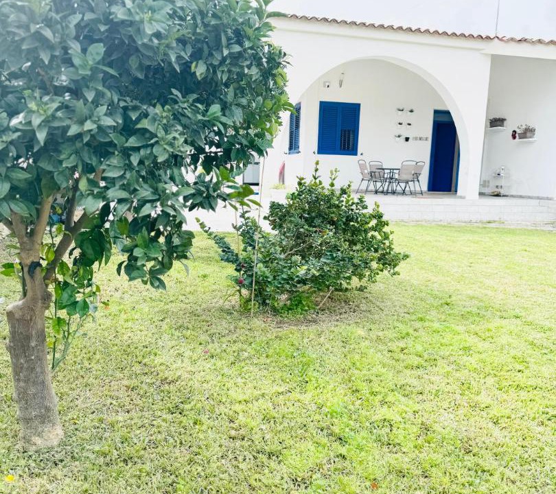 Photo of Others in Gallina
