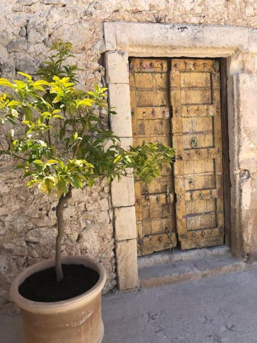 Photo of Others in Noto