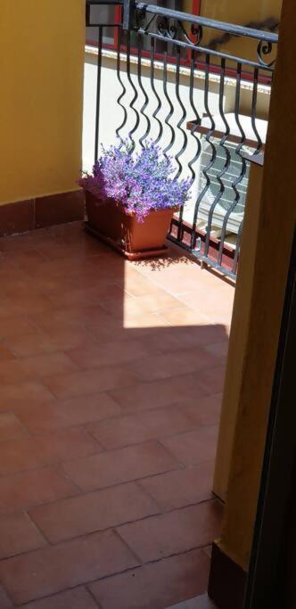 Photo of Others in Castelmola