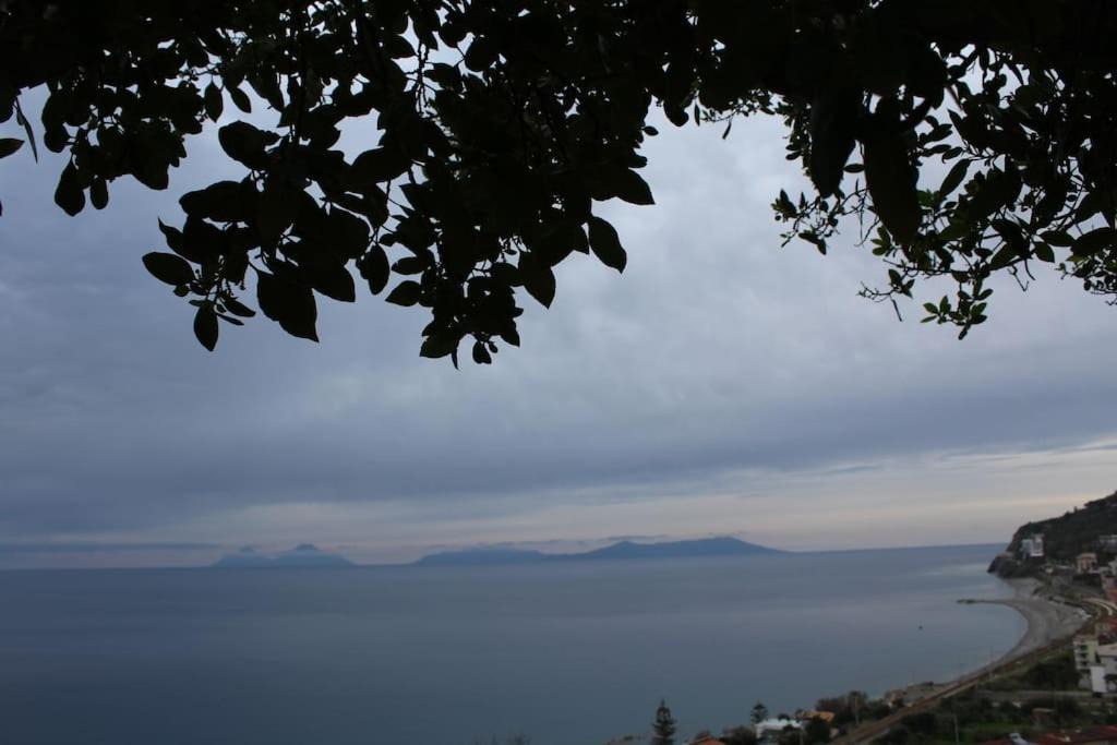 Photo of Outdoor in Piraino