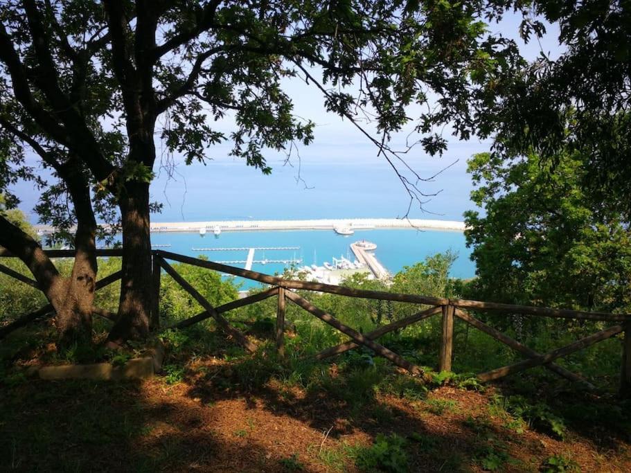 Photo of Outdoor in Piraino