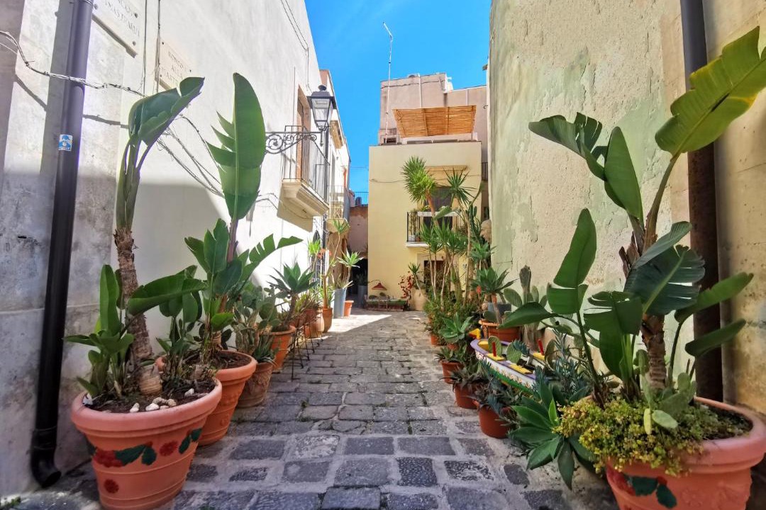Photo of Others in Ortigia