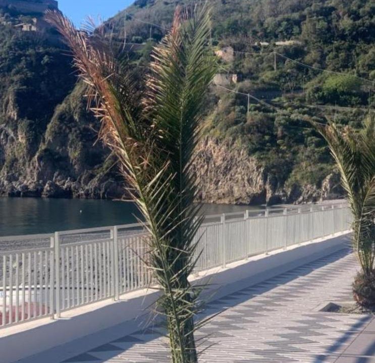Photo of Others in Sant'Alessio Siculo