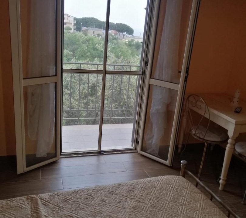 Photo of Others in Scilla