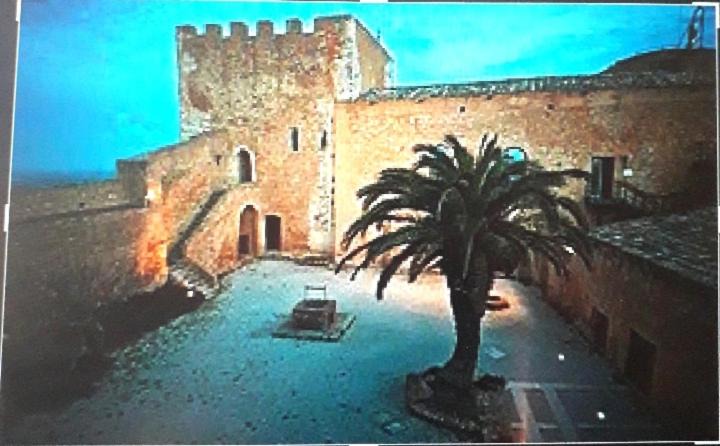Photo of Others in Naro