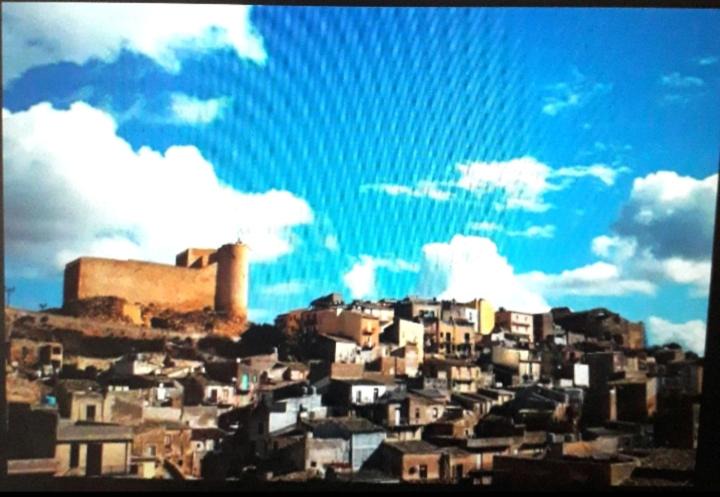 Photo of Others in Naro