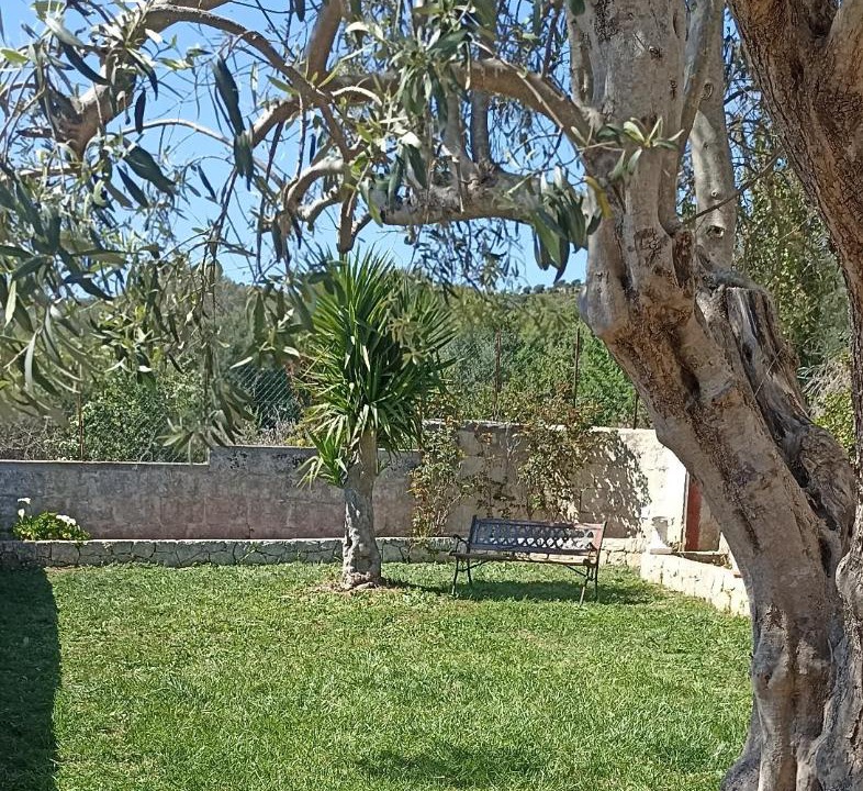 Photo of Others in Noto