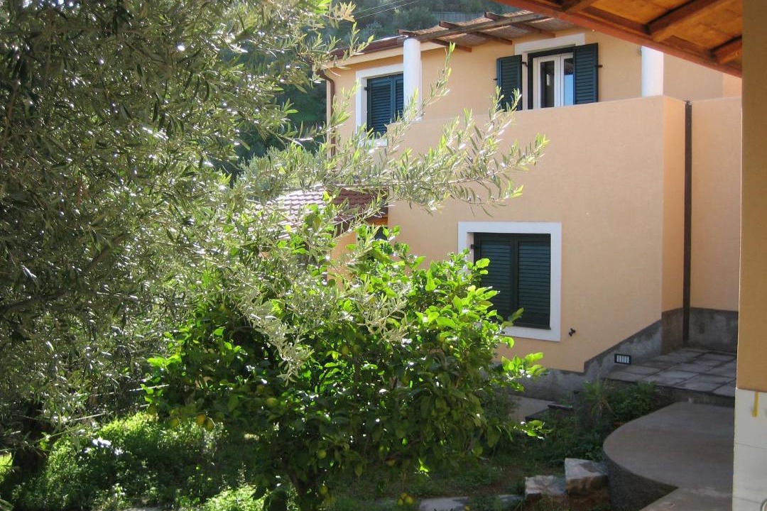 Photo of Buildings in Piraino