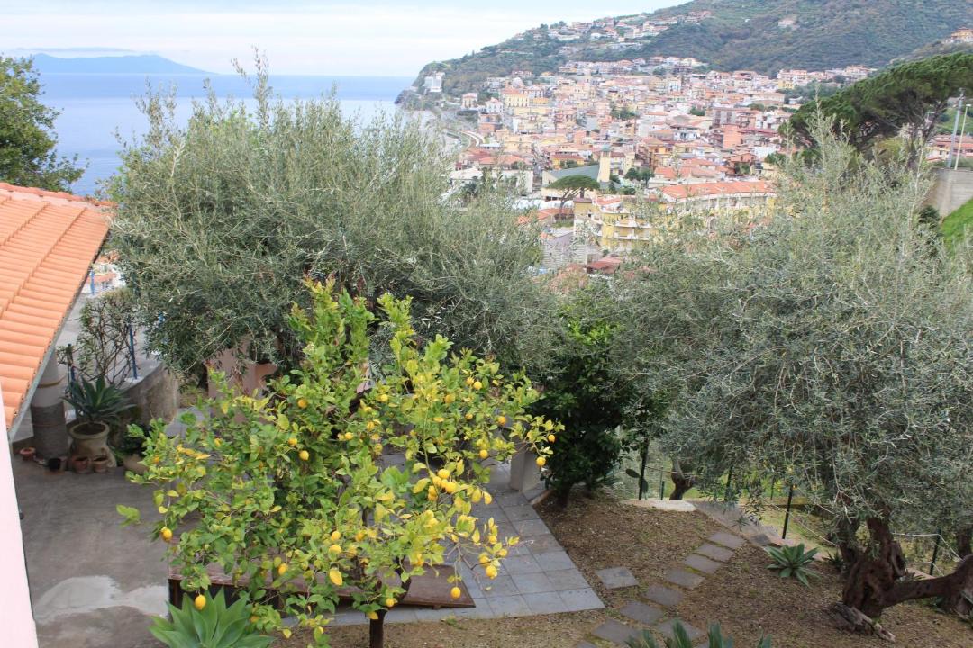 Photo of Others in Piraino