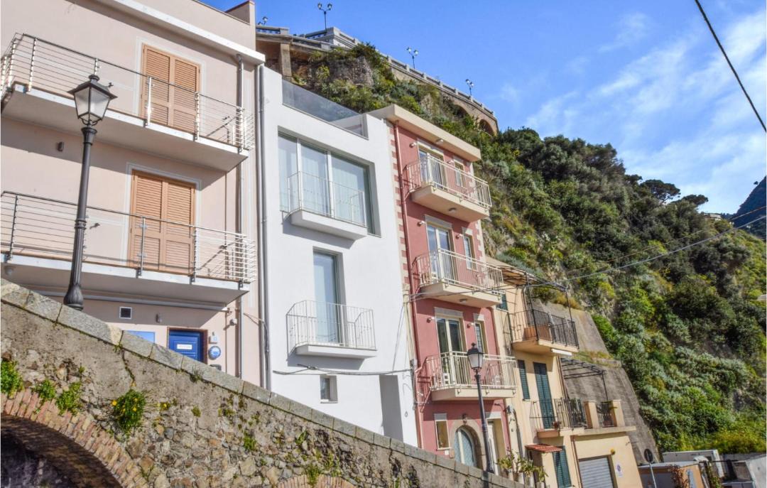 Photo of Others in Scilla