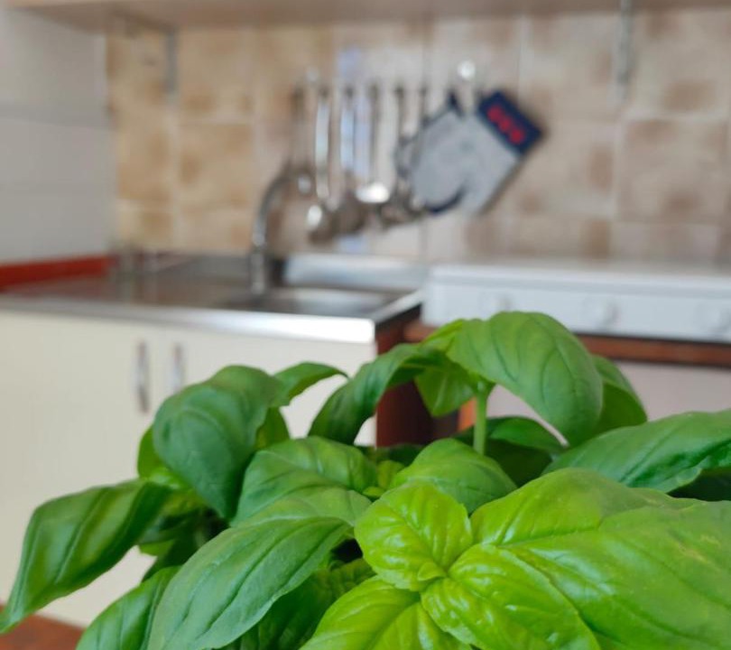 Photo of Kitchen in Scoglitti