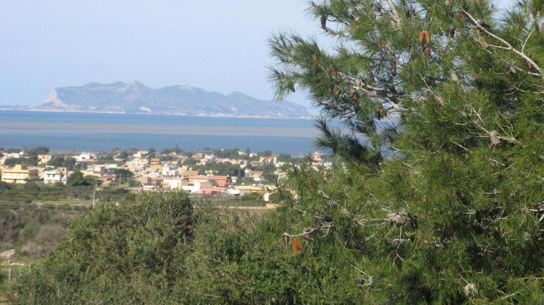 Photo of Others in Marsala