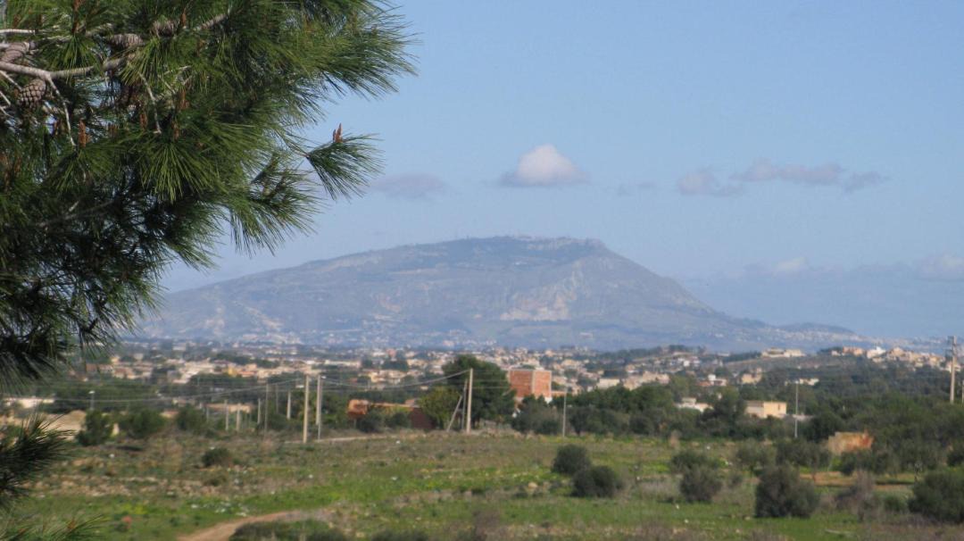 Photo of Others in Marsala
