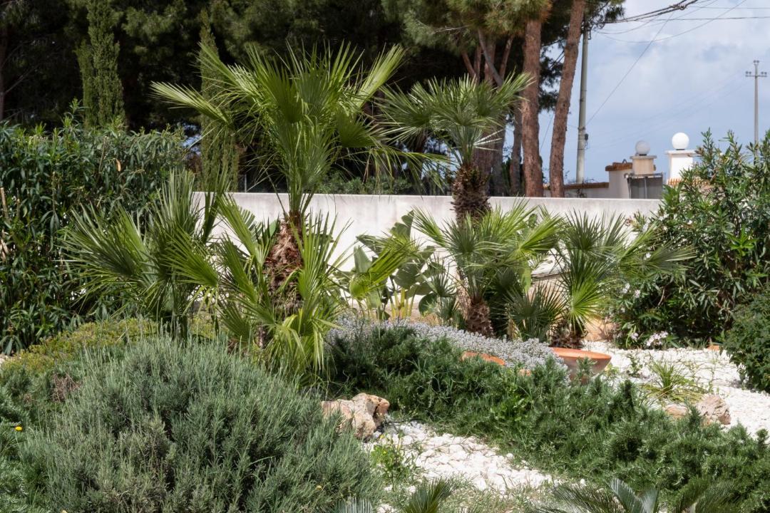 Photo of Others in San Vito Lo Capo