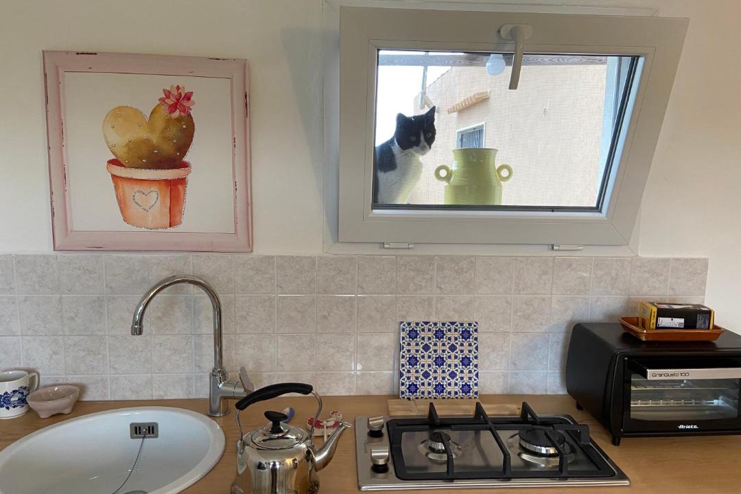 Photo of Kitchen in Ragusa