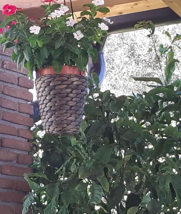 Photo of Others in Camporotondo Etneo