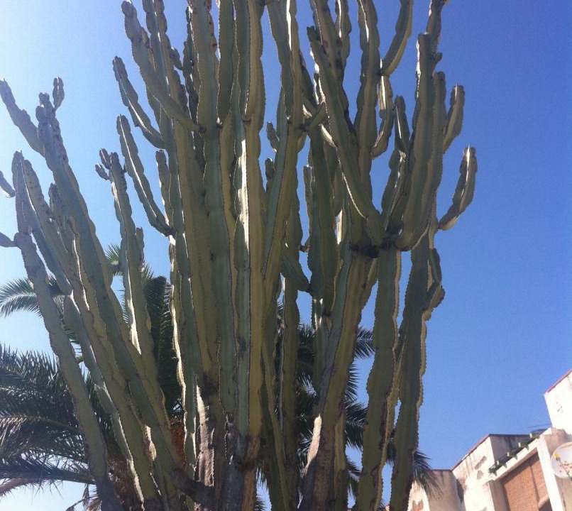 Photo of Others in Province of Messina
