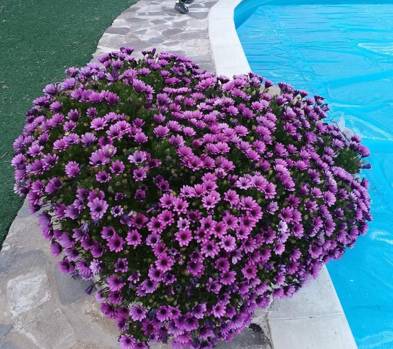 Photo of Outdoor in Santa Maria di Licodia