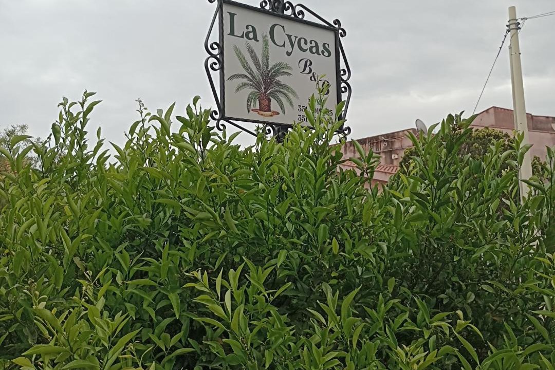 Photo of Outdoor in Trabia