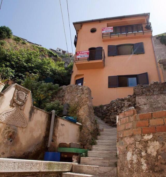 Photo of Others in Scilla