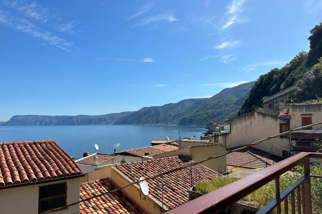 Photo of Others in Scilla