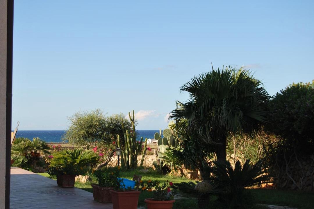 Photo of Others in Favignana