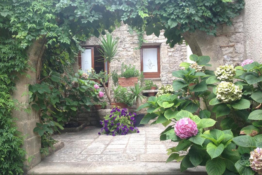 Photo of Others in Erice