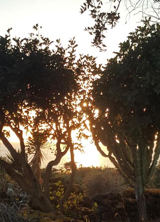 Photo of Others in Pantelleria