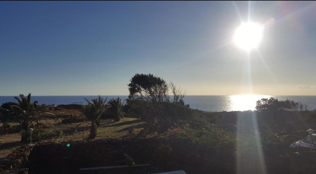 Photo of Others in Pantelleria